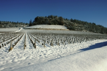 Clos des Barraults_Neige