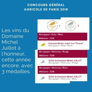 Médailles obtenues au Concours agricole de Paris 2018 par le Domaine Michel Juillot