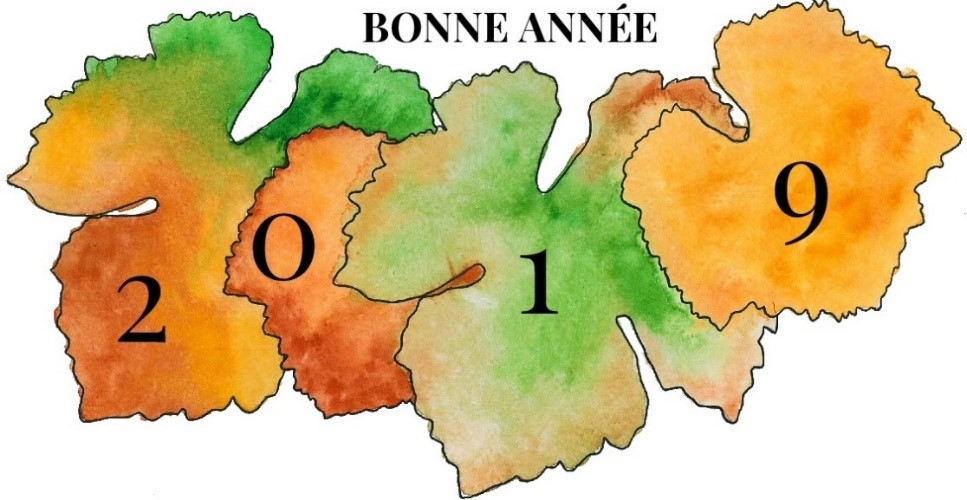 Carte de voeux 2019 du Domaine Michel Juillot représentant des feuilles de vignes